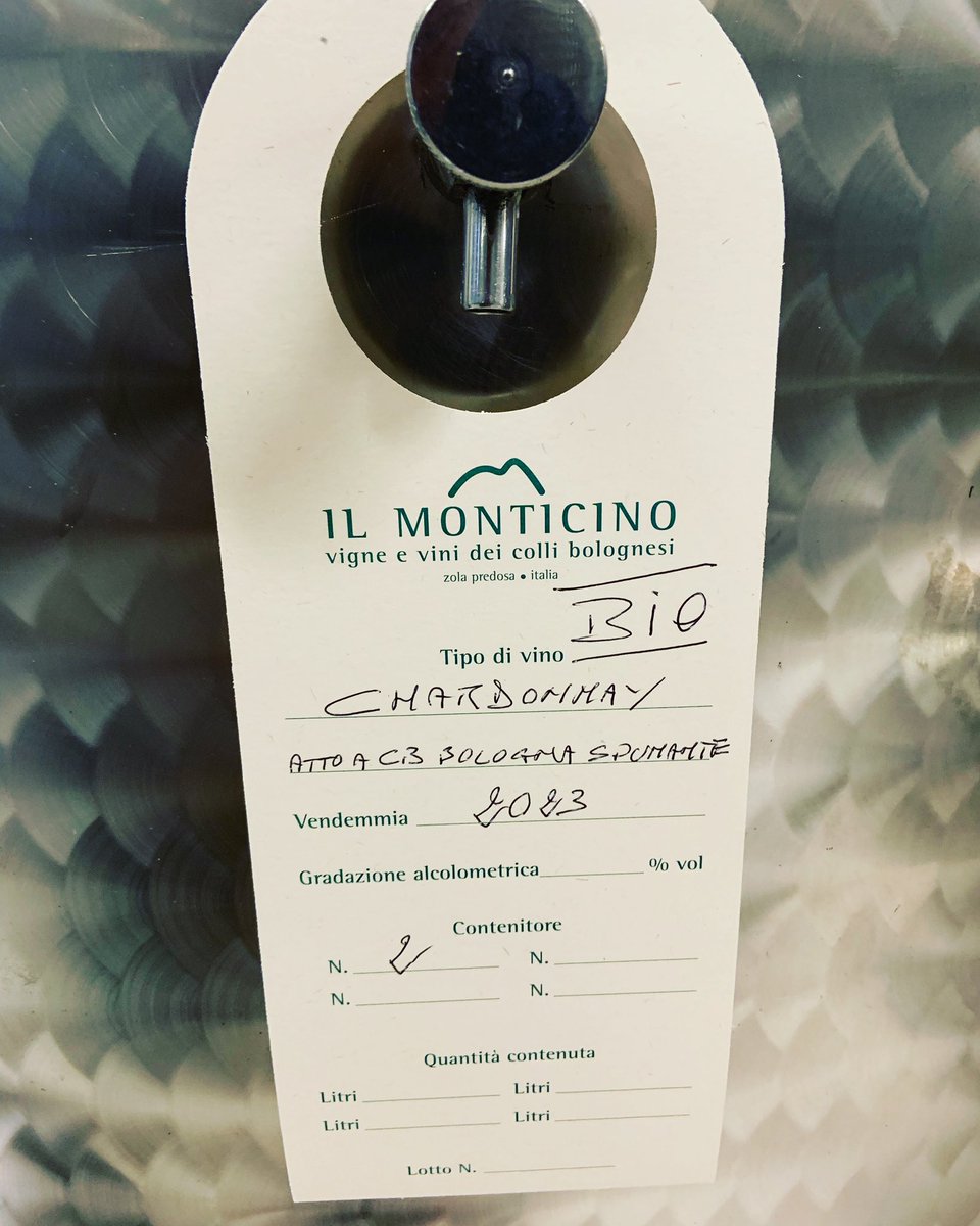 24ma vendemmia iniziata da noi 🥂
Chardonnay 2023 raccolto per il Bolognino spumante metodo classico 🍾