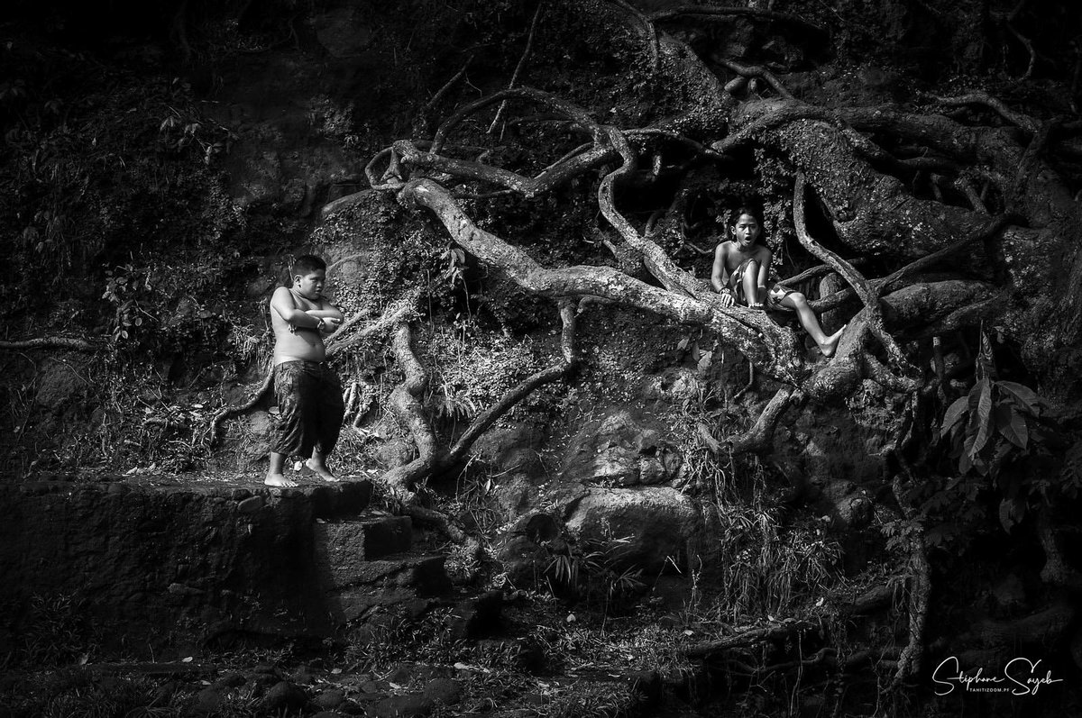 Tahiti Zoom tweet media