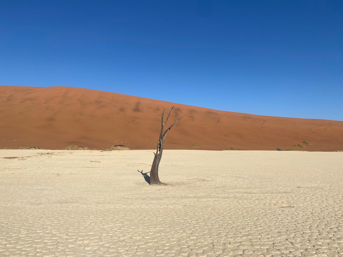 FabioPeg's tweet photo. #lonelytree #Deadvlei #saltpan #Sossusvlei #Namib-Naukluft Park #Namibia https://t.co/xTT1OAueQn