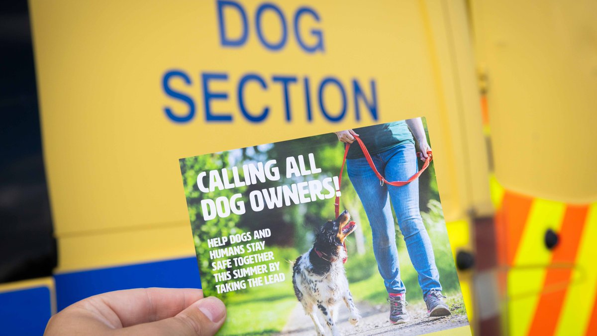In Merseyside, we deal with around 1,000 dog bites every year!

We want Merseyside to be more dog aware &amp; that means parents teaching their children how to behave around dogs &amp; dog owners ensuring they can control their dog at all times

More info here ➡️ orlo.uk/oCaCy