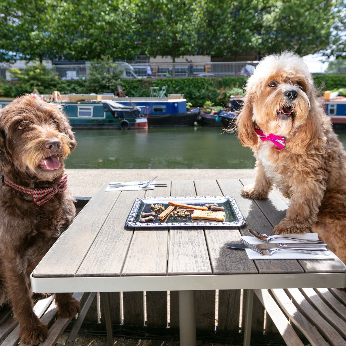 As a dog-friendly neighbourhood where your pooches are always welcome, we're excited to be throwing a FREE festival for owners and their four legged friends! 🐾

The Big Woof is on August Bank Holiday Weekend, Saturday 26 and Sunday 27 August. 

l8r.it/I12G