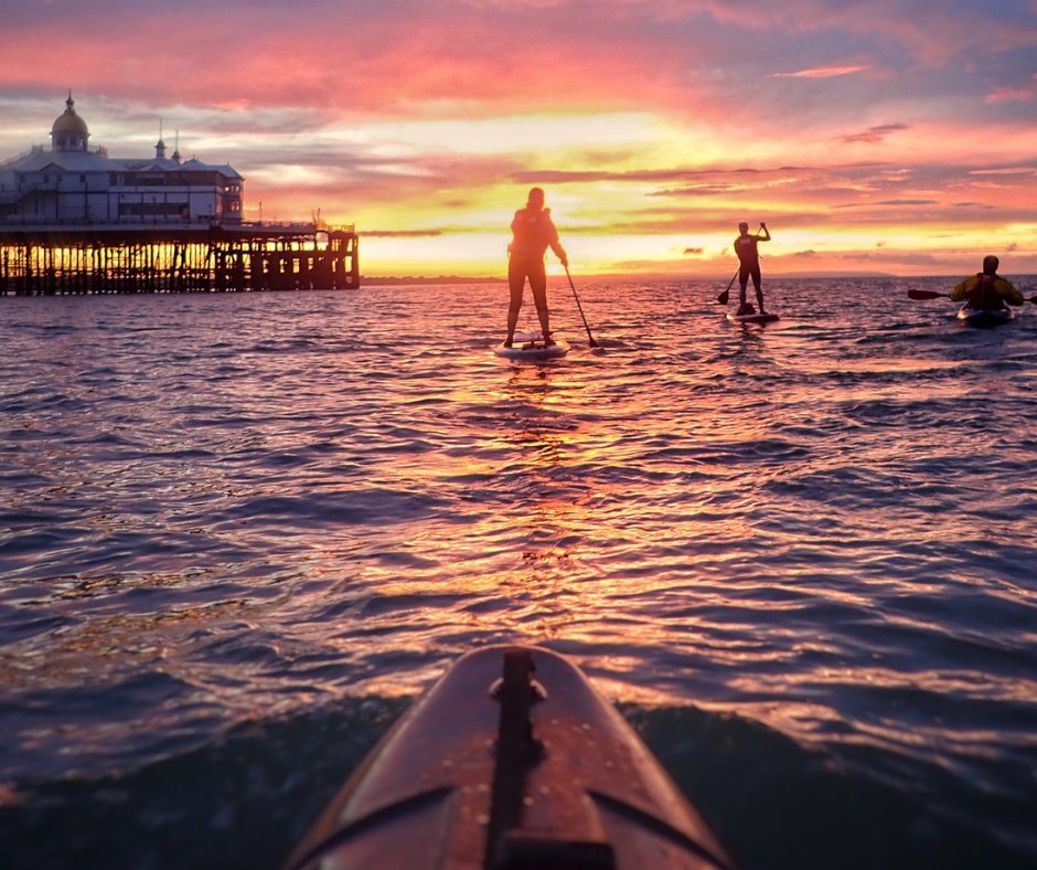 Go Paddling tweet media