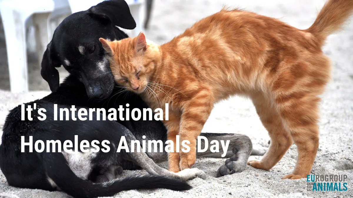 Eurogroup For Animals tweet media