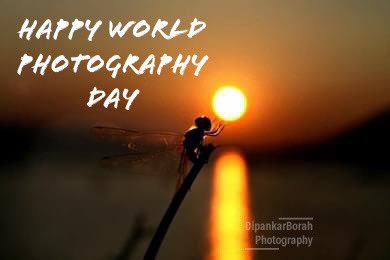 dipankarbrh's tweet photo. Happy world Photography Day https://t.co/x7jp5EHA3V