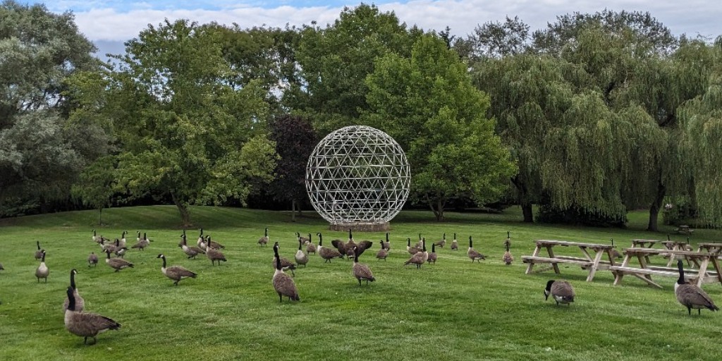 Forever Surrey tweet media