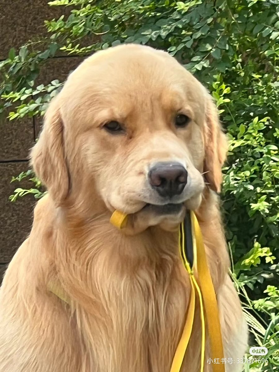 โกรธใครมาคะ หัวล้านใจน้อยนึป่าว