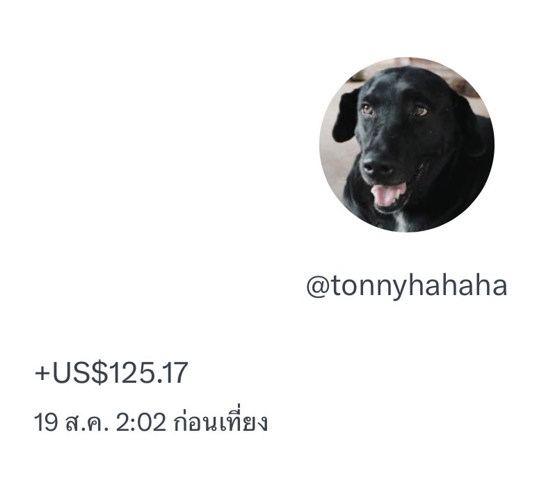 หมาดำตัวนี้ยังหวังดีกับเธอเสมอ tweet media