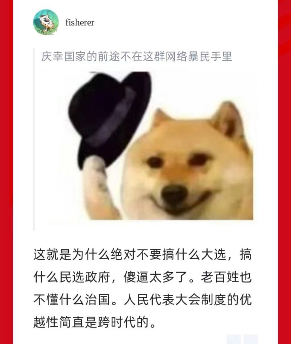 兔迷Bot tweet media