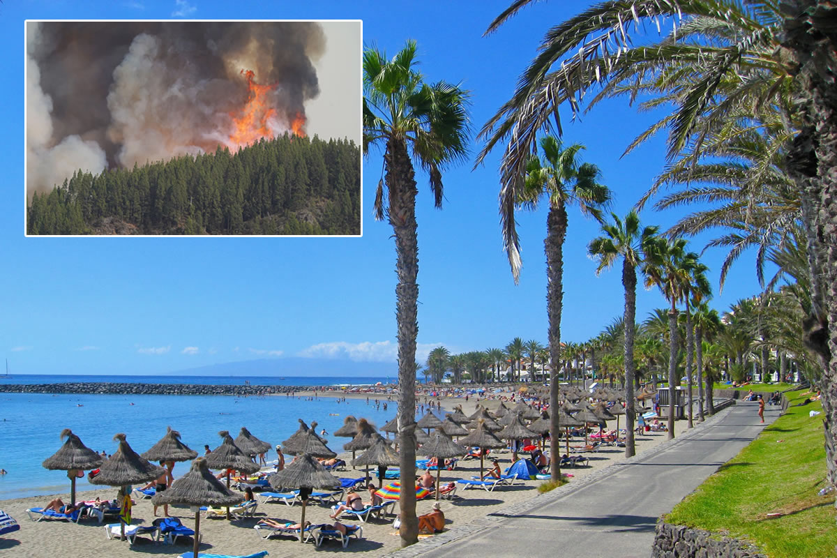Worried Brits asking if they should cancel holidays because of the fire in Tenerife
Here is an overview that will hopefully help you make a calculated decision…

#tenerife #holiday #tenerifeholiday #Travel 

canarianweekly.com/posts/Worried-…