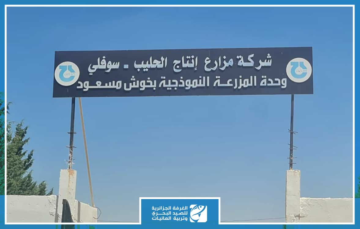 capaalgerie's tweet photo. في اطار تحفيز نشاط تربية المائيات المدمجة مع الفلاحة  و مرافقة المستثمرين الناشطين  في هذا المجال  تمت اليوم 02 اوت 2023 زيارة ميدانية للمزارع النموذجية لمجمع جيبلي GIPLAIT  على مستوى ولايتي سطيف وباتنة ضمت كل من السادة:
#المدير_العام_للغرفة_الجزائرية_مرفوقا_بمدراء_غرفتي_سطيف_ https://t.co/q3yzUSc3In
