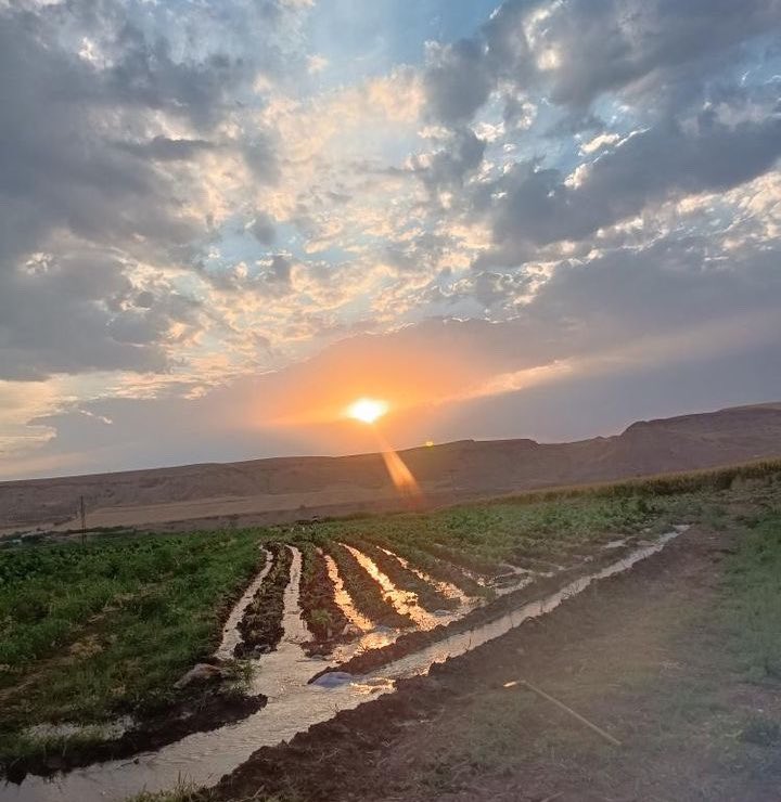 batmanburada's tweet photo. Rojbaş Batman ❤️
📍 Oyuktaş Köyü (Kozluk) https://t.co/HTe0uKhPqd