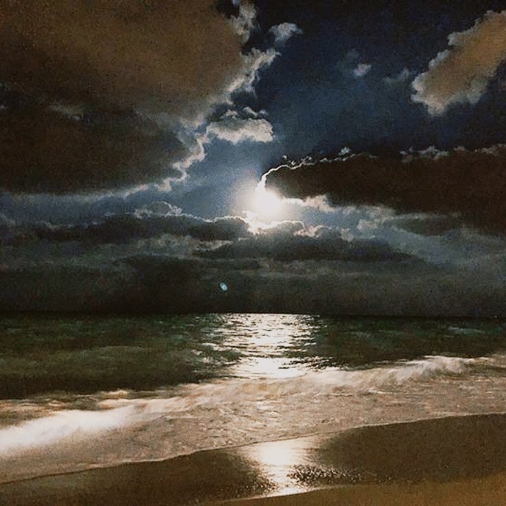ℒ𝑜𝓋𝑒𝓈𝒾𝒸𝓀 ℱ𝑜𝑜𝓁 ☆⋆.* tweet media