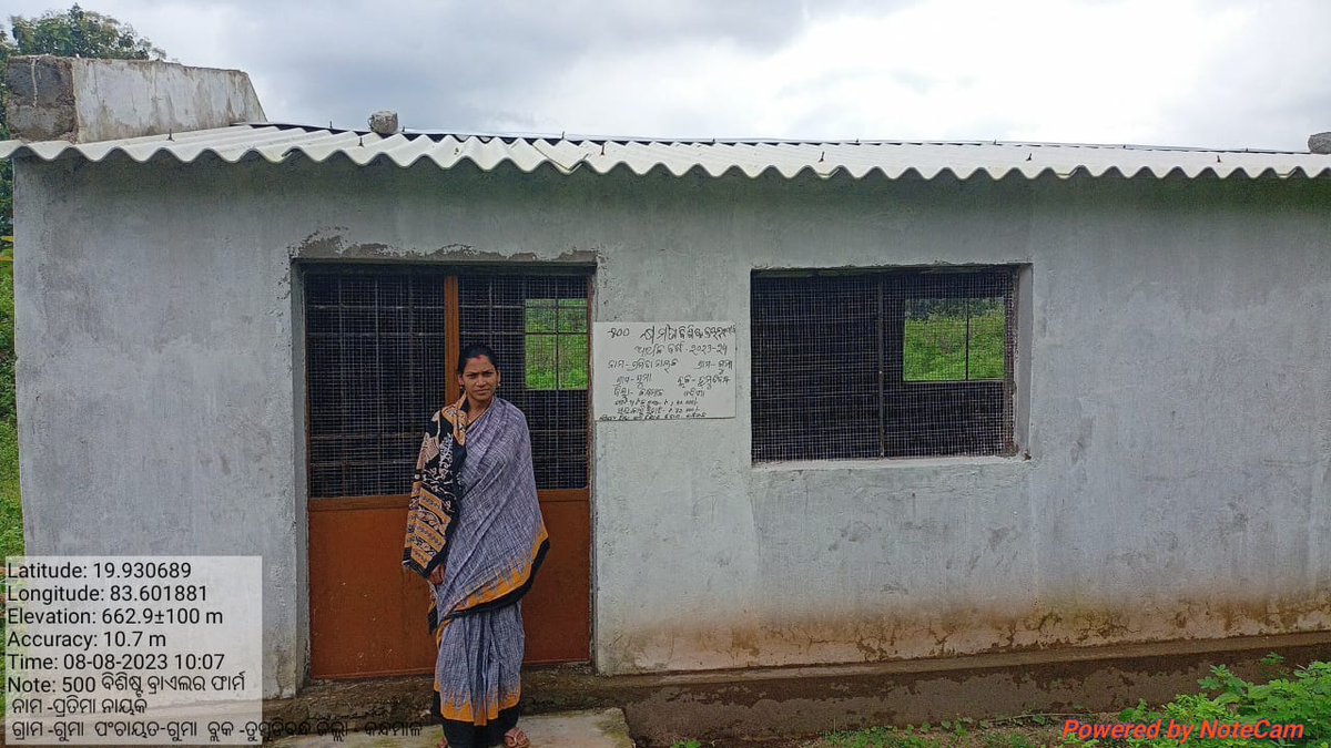 OvsaKandhamal's tweet photo. A step towards #WomenEmpowerment by #Animal_Resourse_Development_Dept through broiler farming under #Stateplan in Tumudibandha block. #Veterianrian #OVS @CMO_Odisha @dahvsodisha @Dept_of_AHD @farddept @MoSarkar5T @rajaaswain @SecyChief @DMKandhamal https://t.co/l93TpitmbT