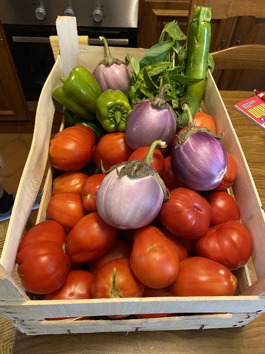 Randye Giammarco tweet media