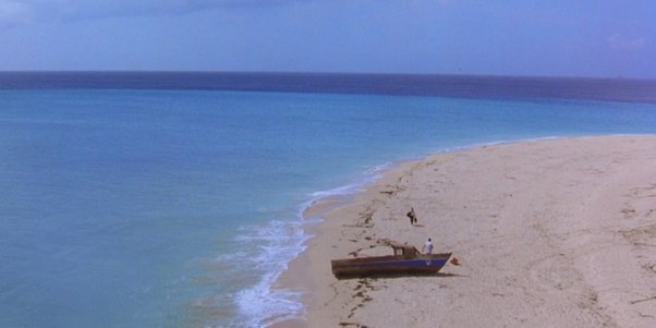 Zeeshan Parwez (@zparwez) on Twitter photo 