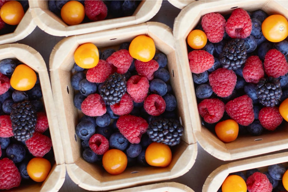 ♻ Ci assicuriamo che i nostri
prodotti siano ecosostenibile e riciclabili al 100%
perché è giusto prendersi cura dei prodotti,
rispettare i consumatori e naturalmente il nostro
pianeta 🌍

#ecofriendly #vaschette #carta #ortofrutta
#agricoltori #frutta #ortaggi #madeinitaly