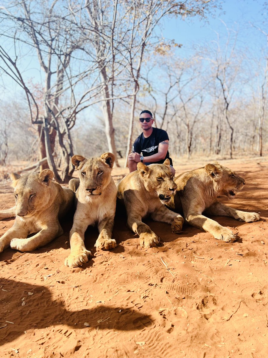 tgpollen's tweet photo. The bravery displayed here is probably explained by backup power.

#ZambianTourism #Livingstone #WalkingwithLions https://t.co/aKVYkUhOnB