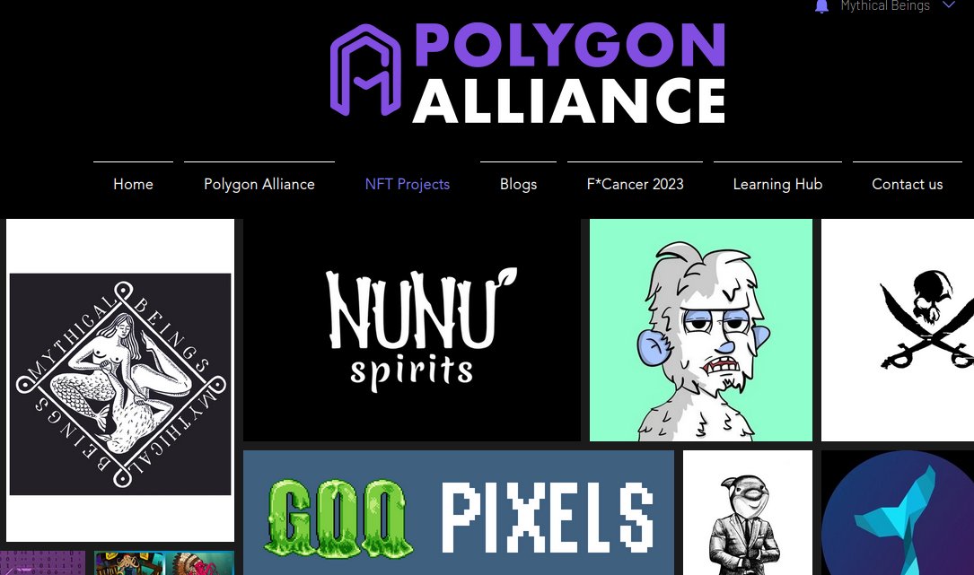 We have just been accepted as a member of the <a href="/PolygonAlliance/">Polygon Alliance</a>! We are thrilled to be part of this vibrant community of builders in the #PolygonCommunity  and look forward to sharing experiences and learning from the great brother projects!