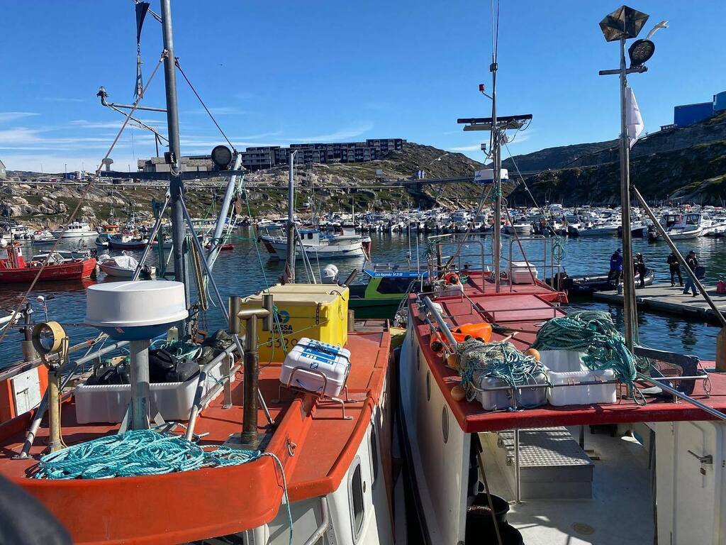 Kerim Hestnes Nisancioglu tweet media