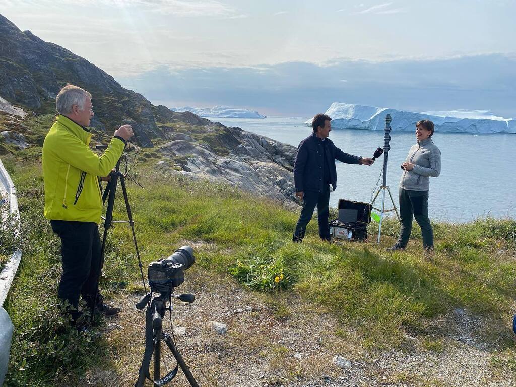 Kerim Hestnes Nisancioglu tweet media