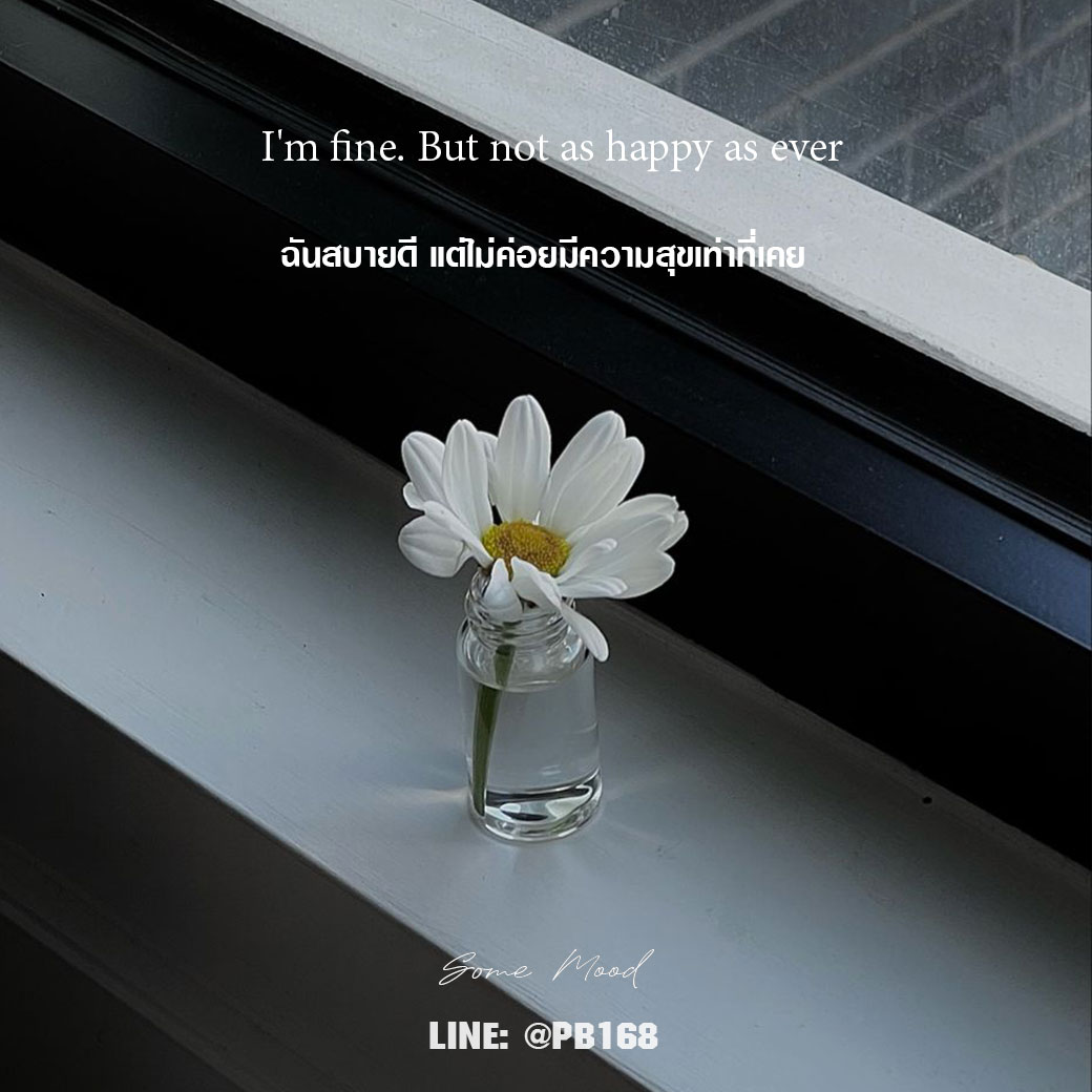 storw444's tweet photo. 𝙄'𝙢 𝙛𝙞𝙣𝙚. 𝘽𝙪𝙩 𝙣𝙤𝙩 𝙖𝙨 𝙝𝙖𝙥𝙥𝙮 𝙖𝙨 𝙚𝙫𝙚𝙧.
ฉันสบายดี แต่ไม่ค่อยมีความสุขเท่าที่เคย

LINEID : @PB168 https://t.co/9xfVHyvQ35
#แคปชั่นอังกฤษ #แคปชั่นภาษาอังกฤษ #แคปชั่นอังกฤษแปลไทย #เธรดกำลังใจ #คำคมอกหัก #แคปชั่น #แคปชั่นโดนๆ #somemood168 #แคปชั่นชีวิต https://t.co/xM5QgvkBdv