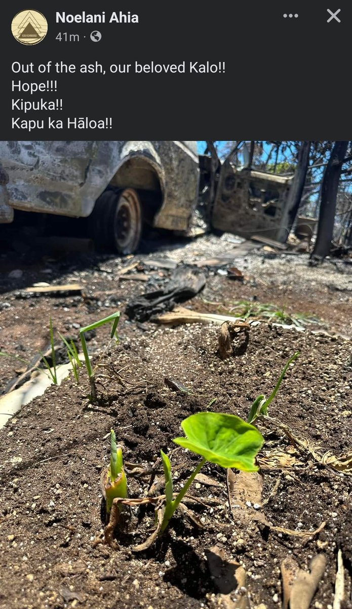 I'm not crying you're crying