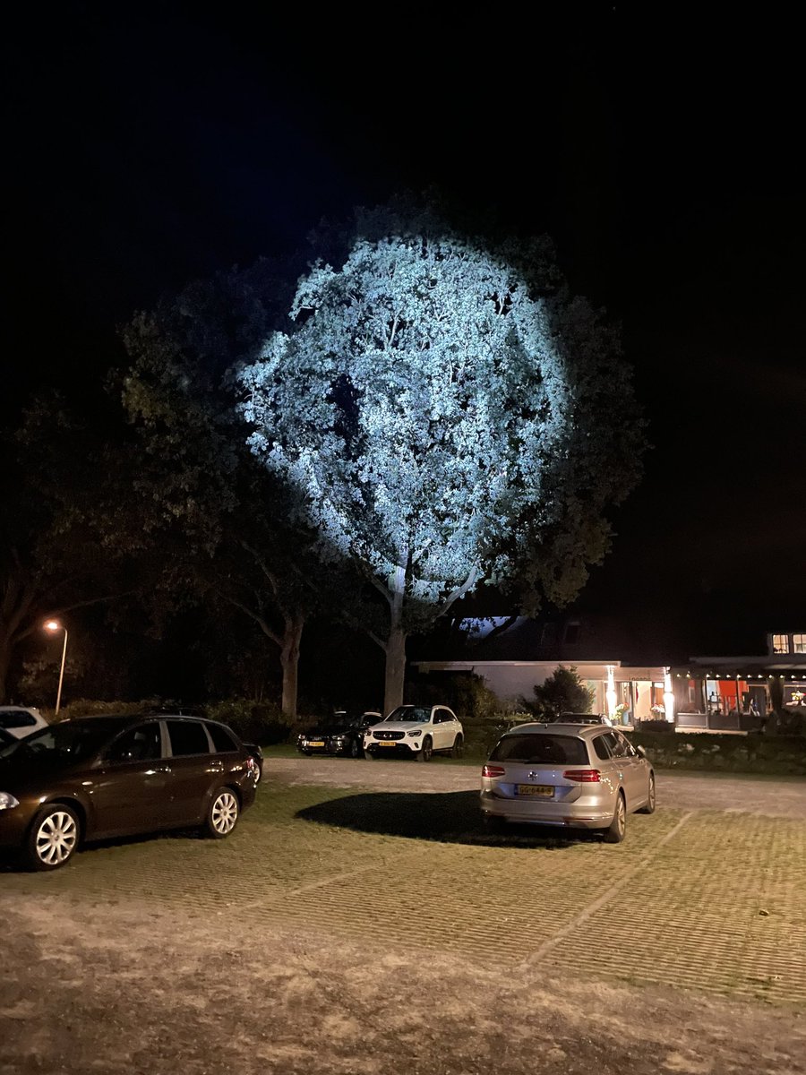 carinreinders's tweet photo. Wat was het weer een feest! #Diever #Shakespeare . Mooiste detail wat mij betreft: de zeeslag. #Anthonius en Cleopatra is smullen en Shakespeare houdt oogje in de boom. Kunstenplan. https://t.co/LDDehBdmBy