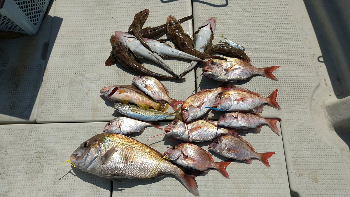 今月、初の出船になりました
ま～なんとかカタチになりました