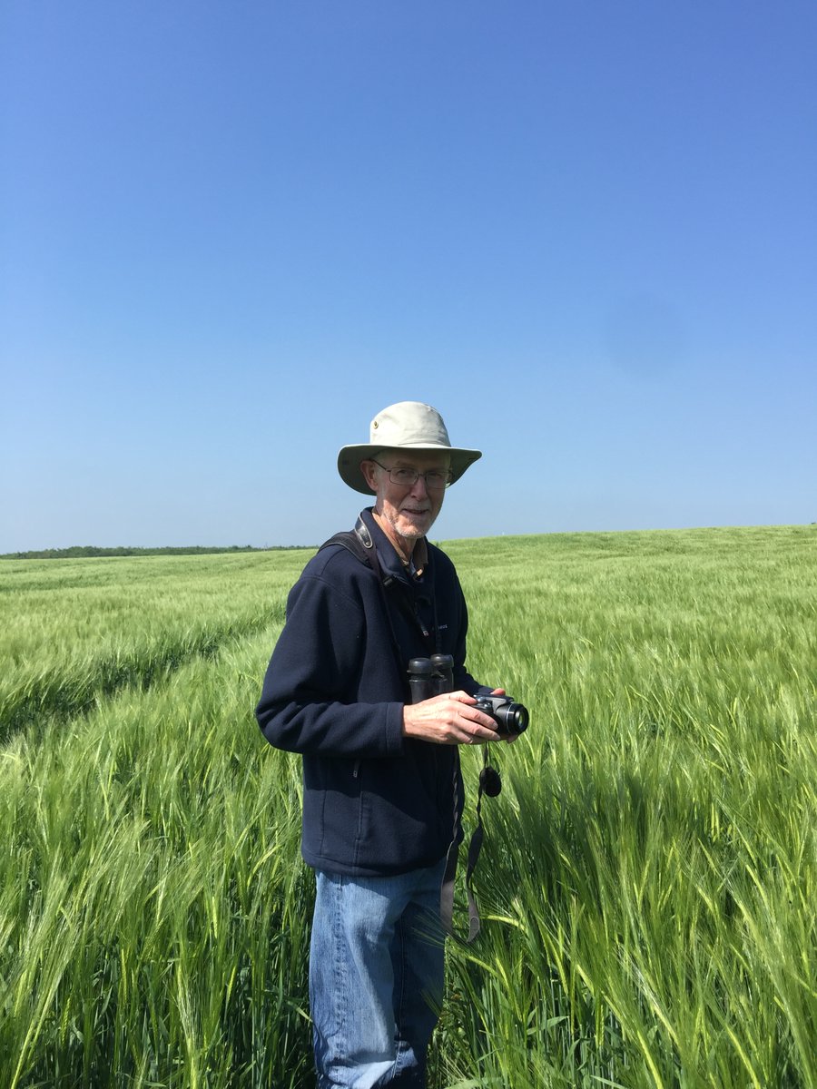 Jordan Cuff 🕸️🧬🕷️ tweet media