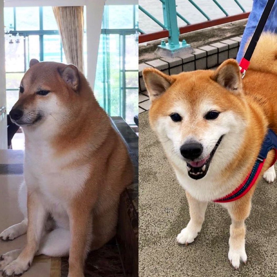 KARTHIK DP tweet media