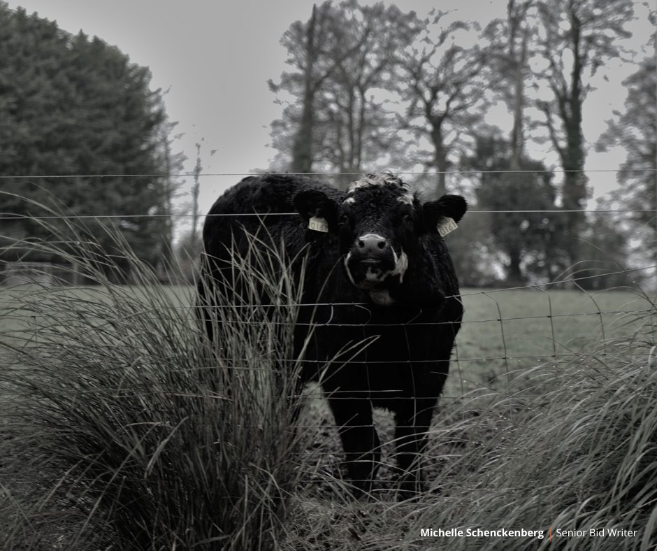 OCSIRELAND's tweet image. We love to celebrate our colleagues' achievements. So, today, on World Photography Day, we felt it was the perfect opportunity to celebrate the creativity and passion displayed through their photography. 

#TRUEValues #tobeyourbest #WorldPhotographyDay #empowerment #creativity