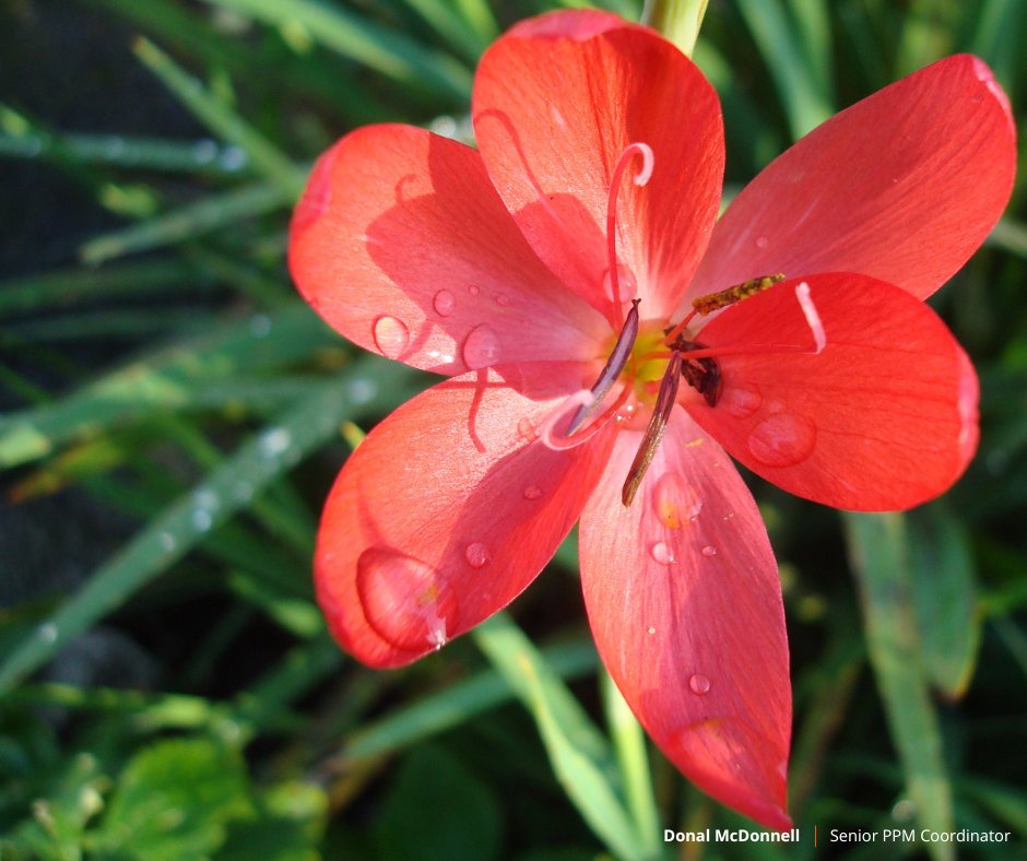 OCSIRELAND's tweet image. We love to celebrate our colleagues' achievements. So, today, on World Photography Day, we felt it was the perfect opportunity to celebrate the creativity and passion displayed through their photography. 

#TRUEValues #tobeyourbest #WorldPhotographyDay #empowerment #creativity