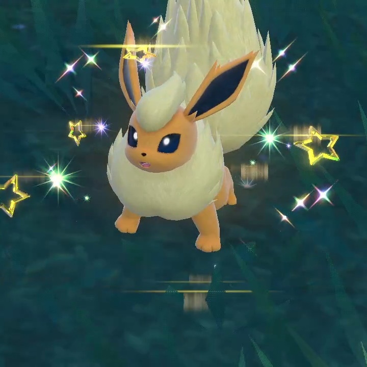 Fre Cons Bo tweet media