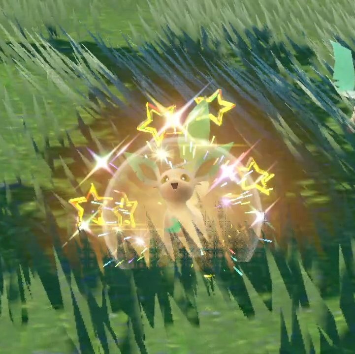 Fre Cons Bo tweet media