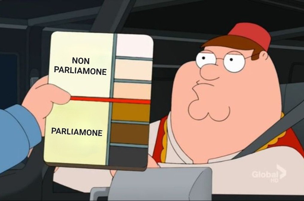 Lo sentite anche voi il silenzio assordante della politica su quei sette animali di Palermo che hanno stuprato una ragazza? Cos'è, il bianco non fa notizia? Dove sono le graficone dei social media manager di partito? E l'indignazione delle ancelle televisive?
