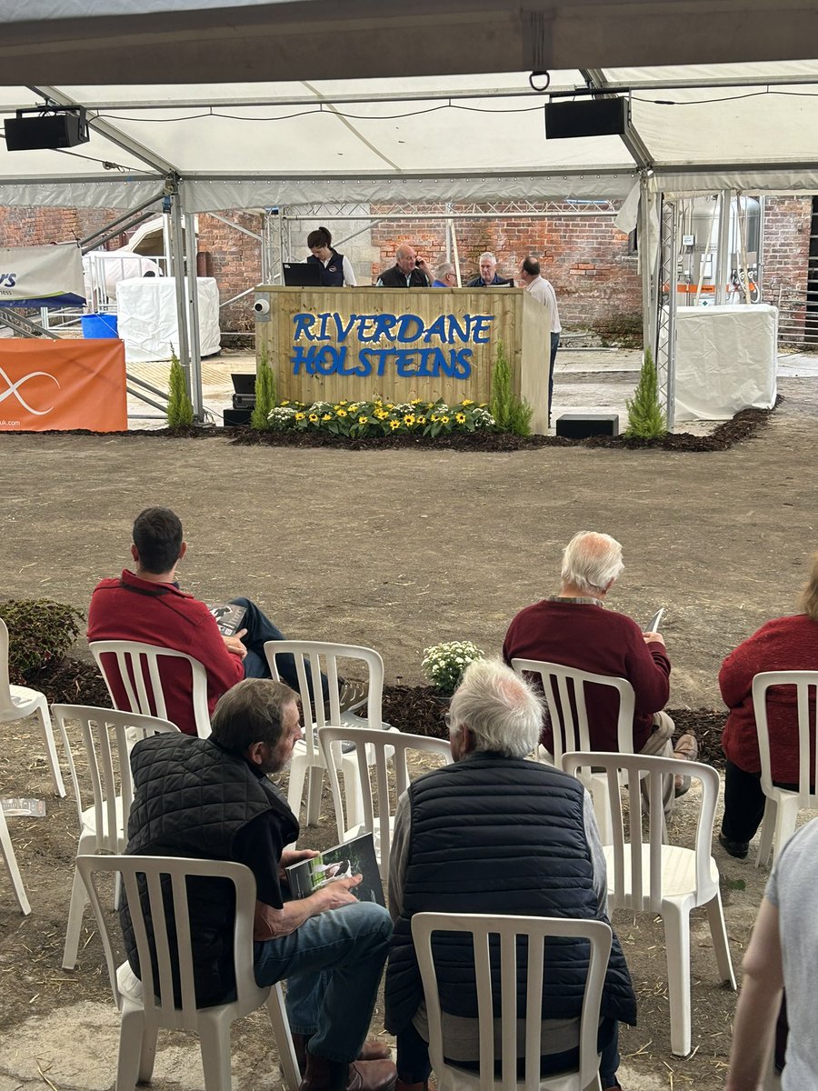 Theatre of Dreams Sale today!