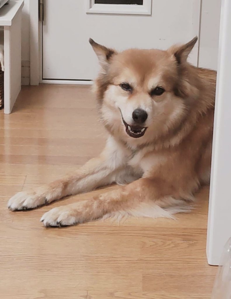 何気ない表情も可愛い〜