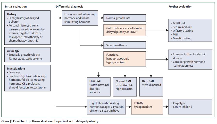 The Lancet Diabetes & Endocrinology tweet media