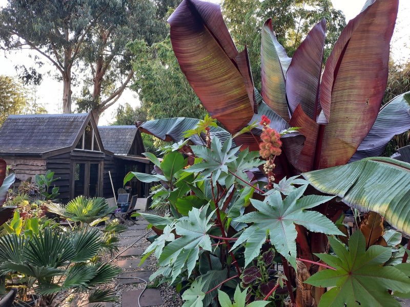NGS Suffolk tweet media