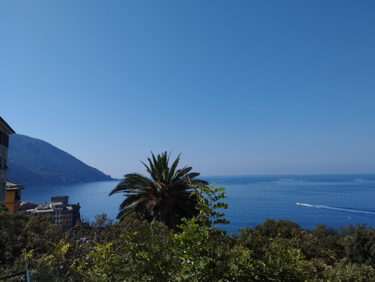 Matthiapzn's tweet photo. Relax e vacanze a Camogli ( parte due) https://t.co/OEJmWcdn0C