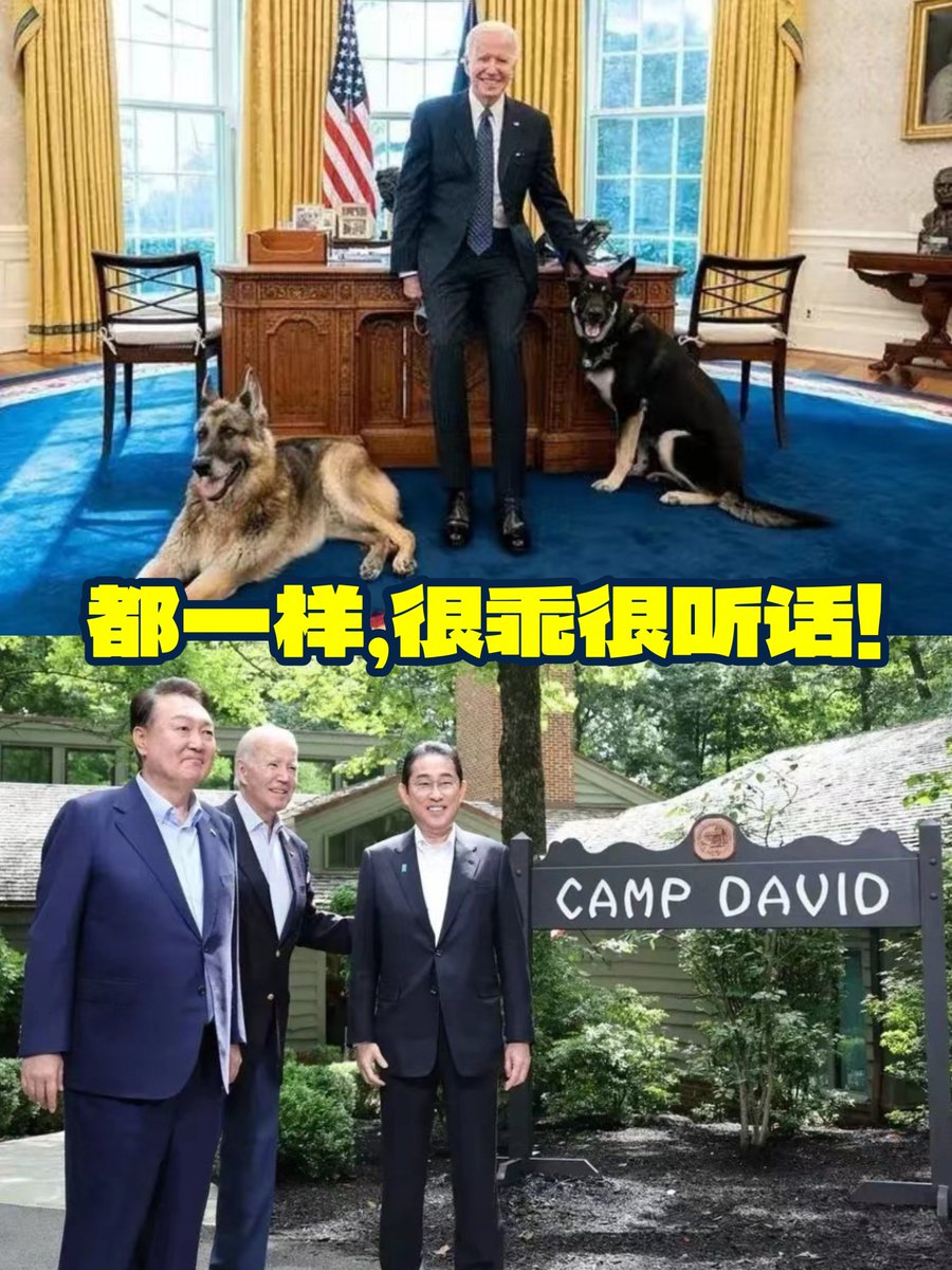 KFCQZ's tweet photo. 🤣小样，别以为你俩穿上马甲，我就不认识你们了！ https://t.co/CjTNKMWset