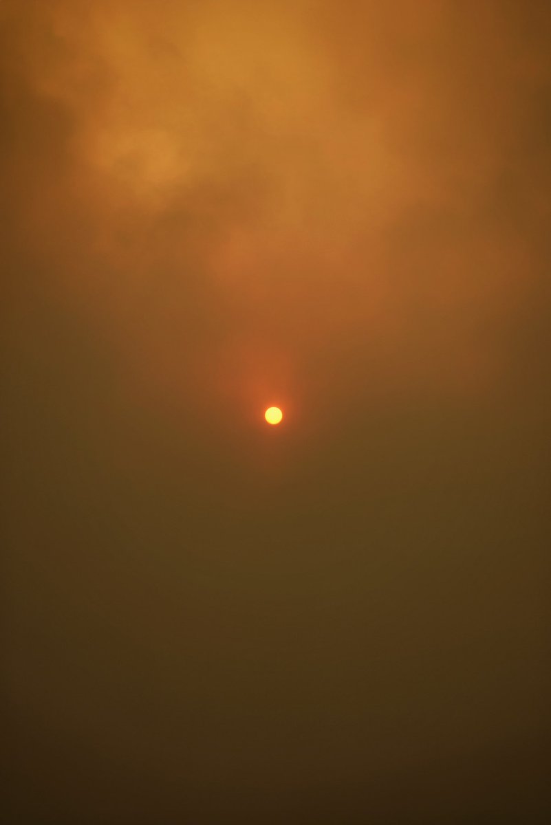 Patri15g's tweet photo. El sol en La Orotava, es de miedo ya. #IFArafoCandelaria https://t.co/kBNKXdJPlR