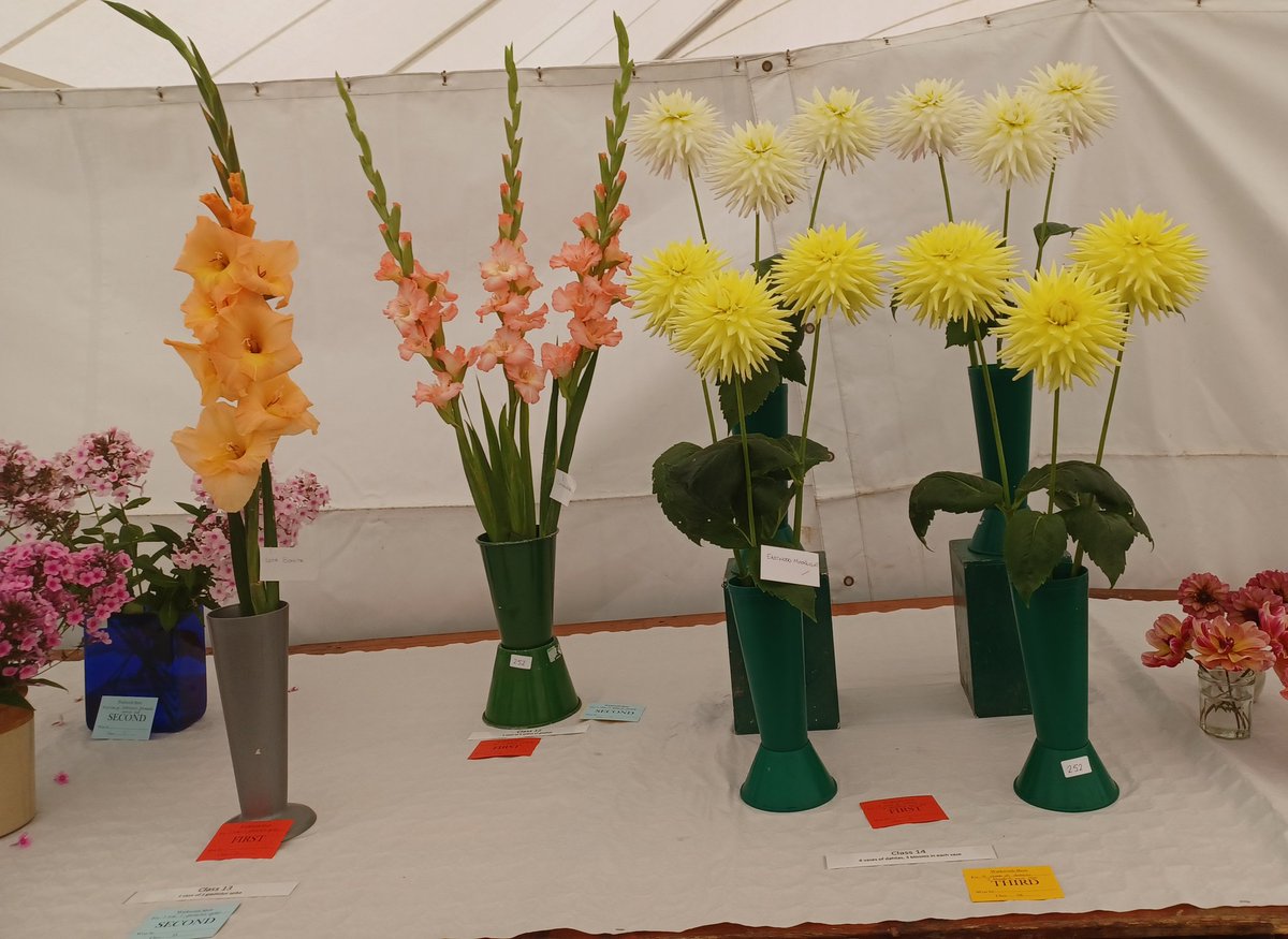 The Warkworth Show tweet media