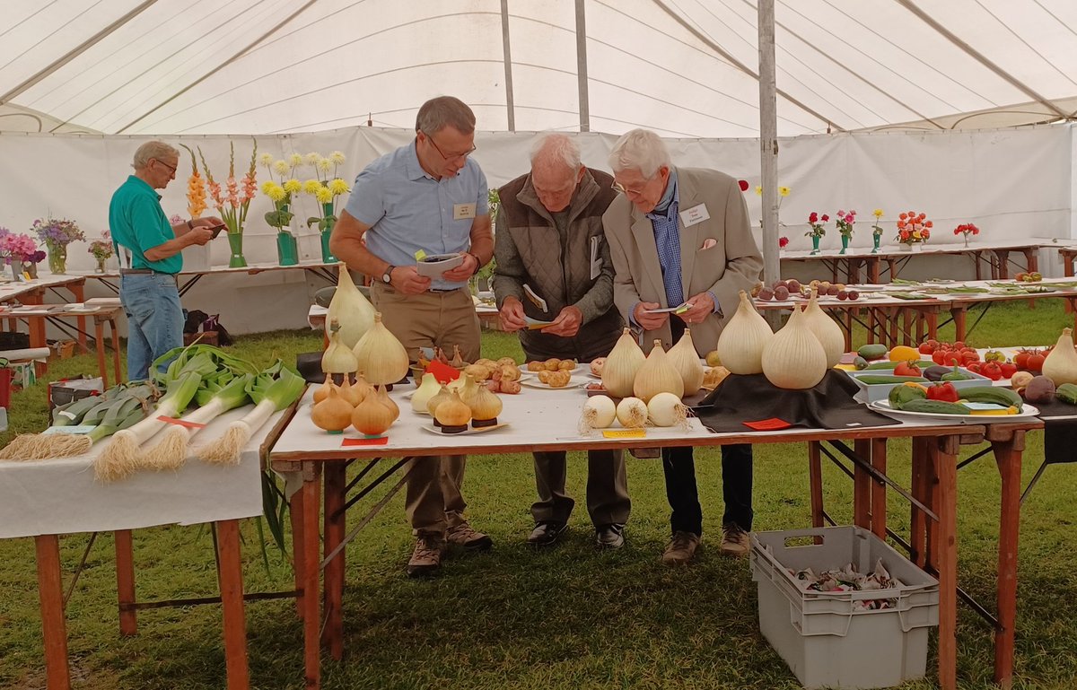 #WARKWORTH SHOW IS NOW OPEN!
The ☀️ is shining and judging is underway. 
Come and join us for a great family day out!