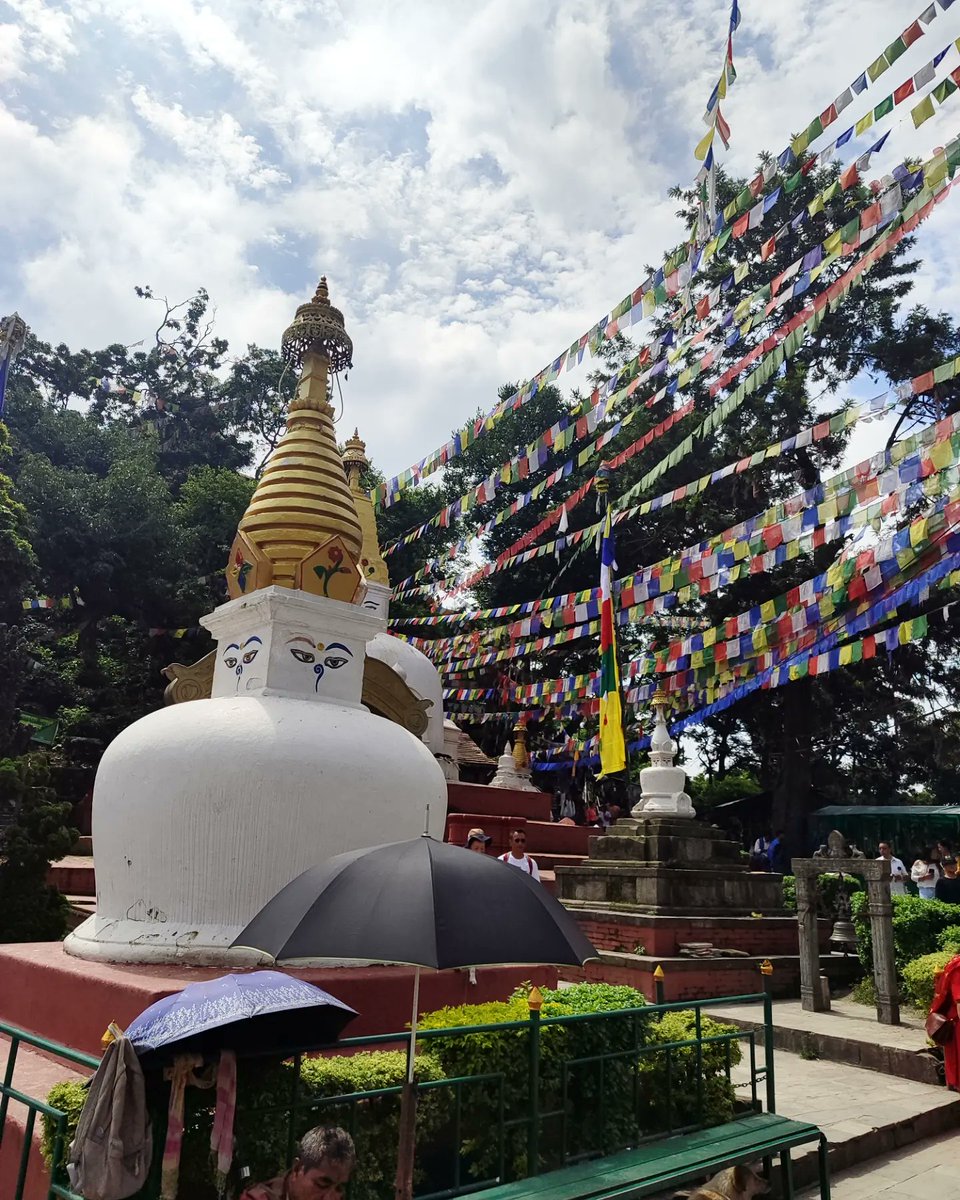 simsantucci's tweet photo. Al Tempio delle scimmie ππ³π΅
#nepal #monkeytemple https://t.co/LF8CZtliVA