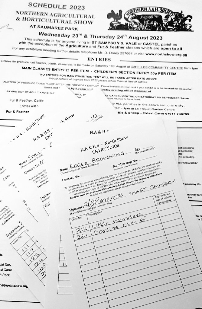 Helen_gsy's tweet image. An ambitious number of #northshow entries are in!
#guernsey