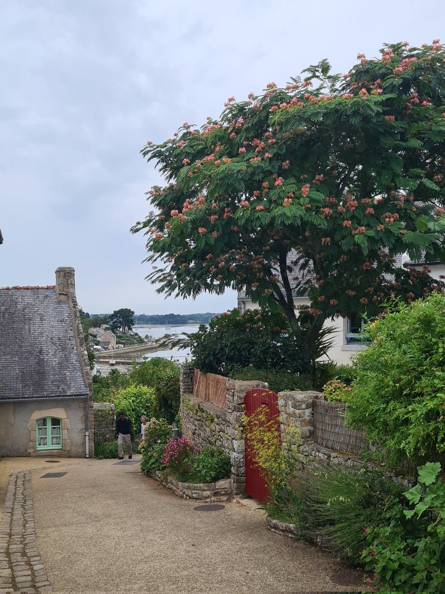 Île-aux-Moines 
Golfe du #Morbihan, #Bretagne