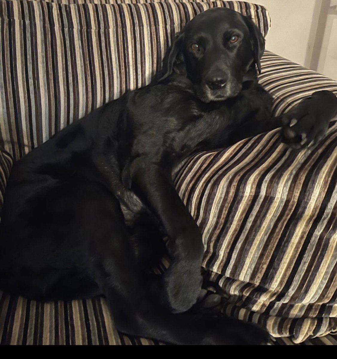 Sam Sparkes 💙🚔 tweet media