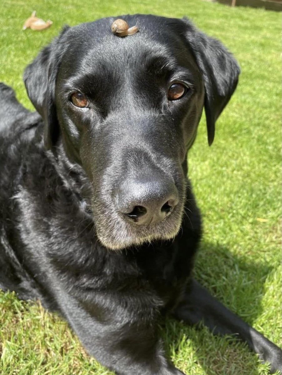 Sam Sparkes 💙🚔 tweet media