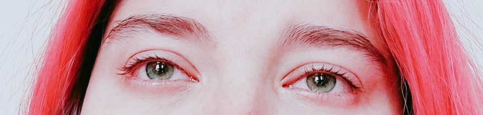 Thirteen (#1 chris hater) tweet media